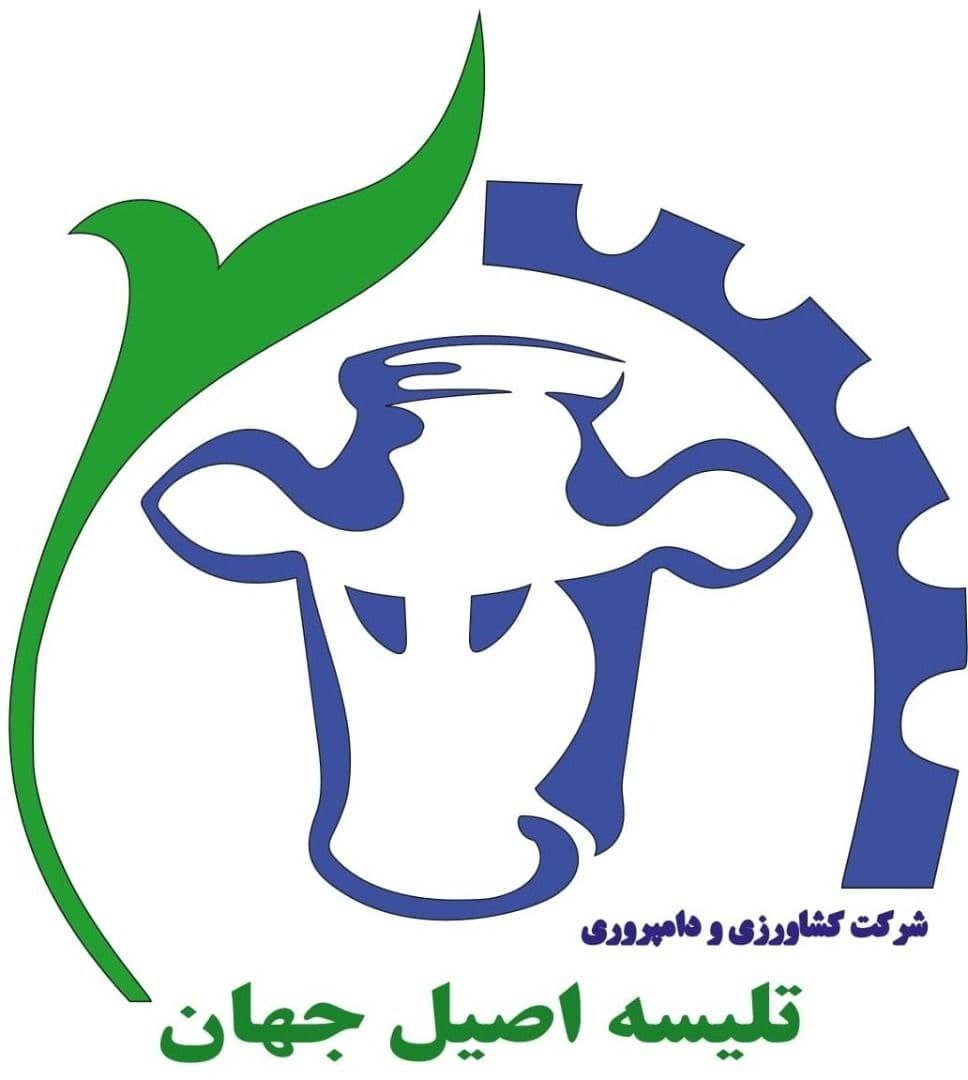 photo_1_2025-05-09_02-01-00